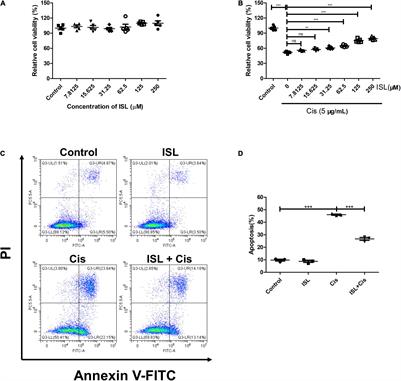 Isoliquiritin Ameliorates Cisplatin-Induced Renal Proximal Tubular Cell Injury by Antagonizing Apoptosis, Oxidative Stress and Inflammation